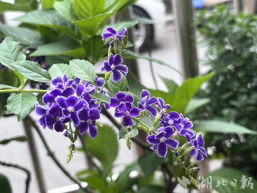 银河官网网址下载